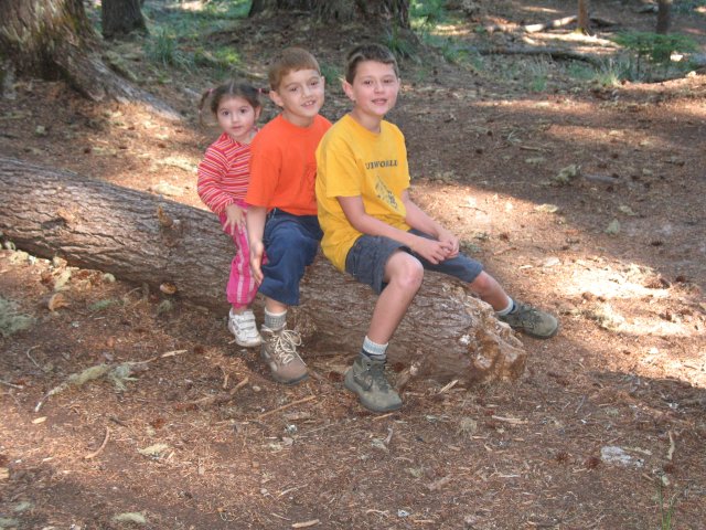 8.26-27.06 Twin Lakes & Palmateer Point 123 